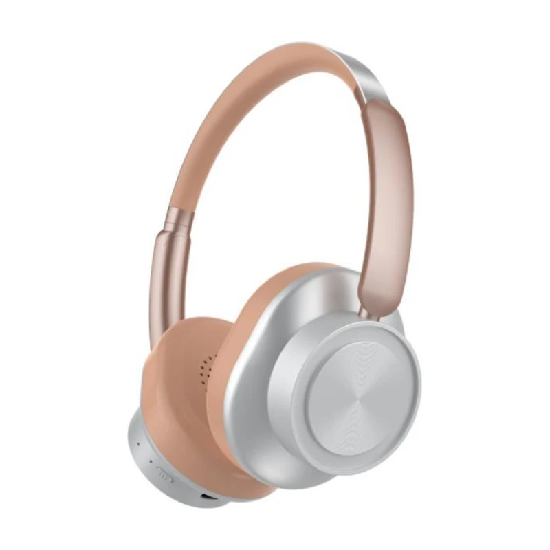 ZW-100ANC product photograph